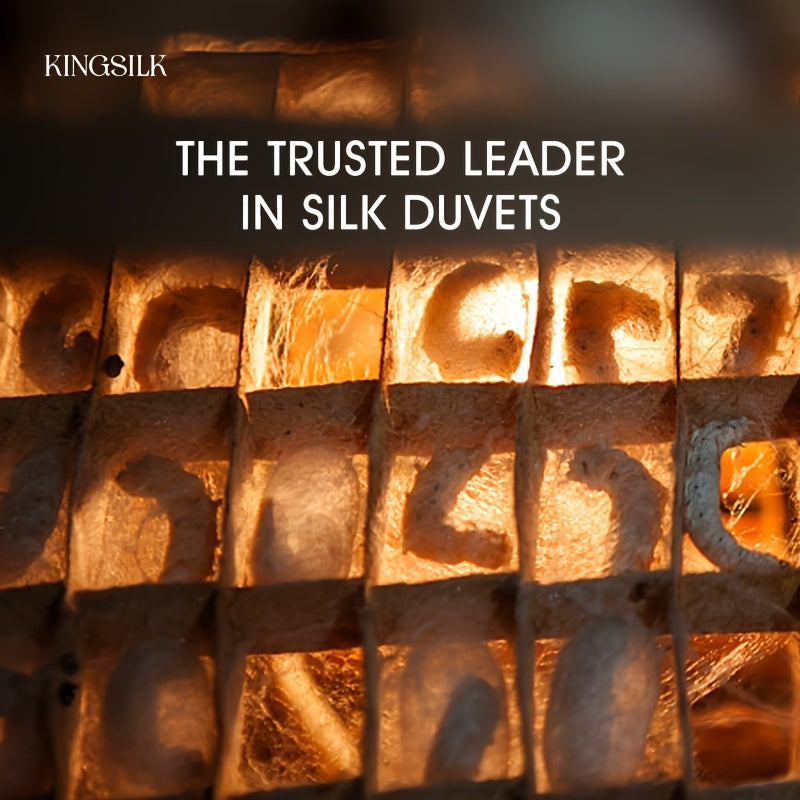 KING SILK, Mulberry Silk Quilt KING SILK 100% Mulberry Silk Quilt | Super Soft, Warm In Winter And Cool In Summer, Breathable And Close Fitting, Luxury Large Size